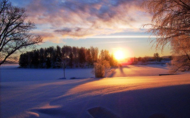 A Delicious image &middot; #4307