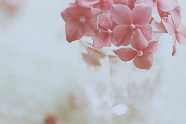 A Delicious image &middot; #5369