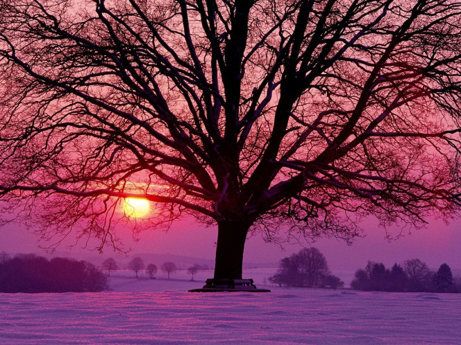 A Delicious image &middot; #560