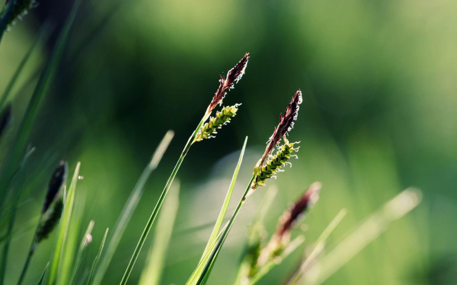 A Delicious image &middot; #1717