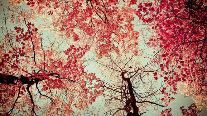 A Delicious image &middot; #344